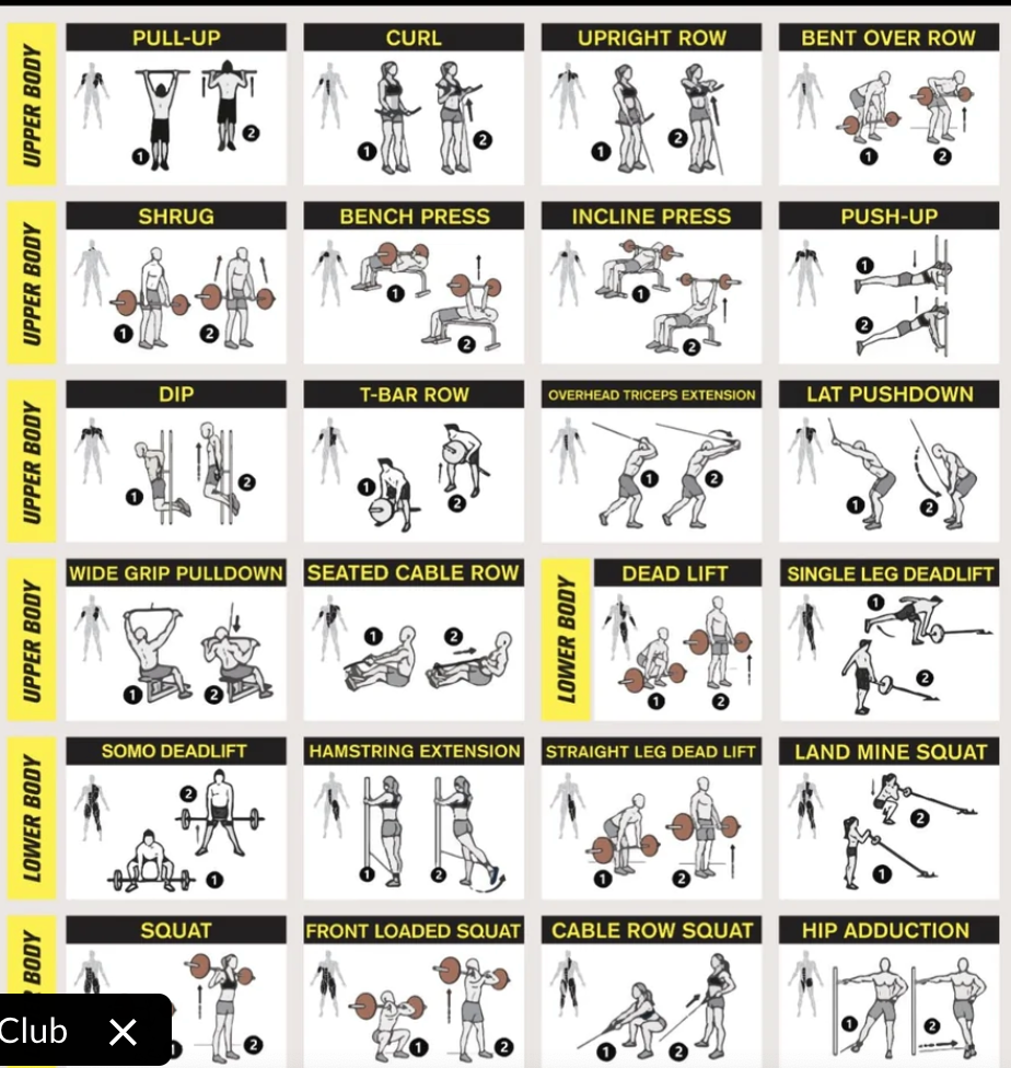 AGFC SQUAT RACK WITH FUNCTIONAL PULLEY SYSTEM