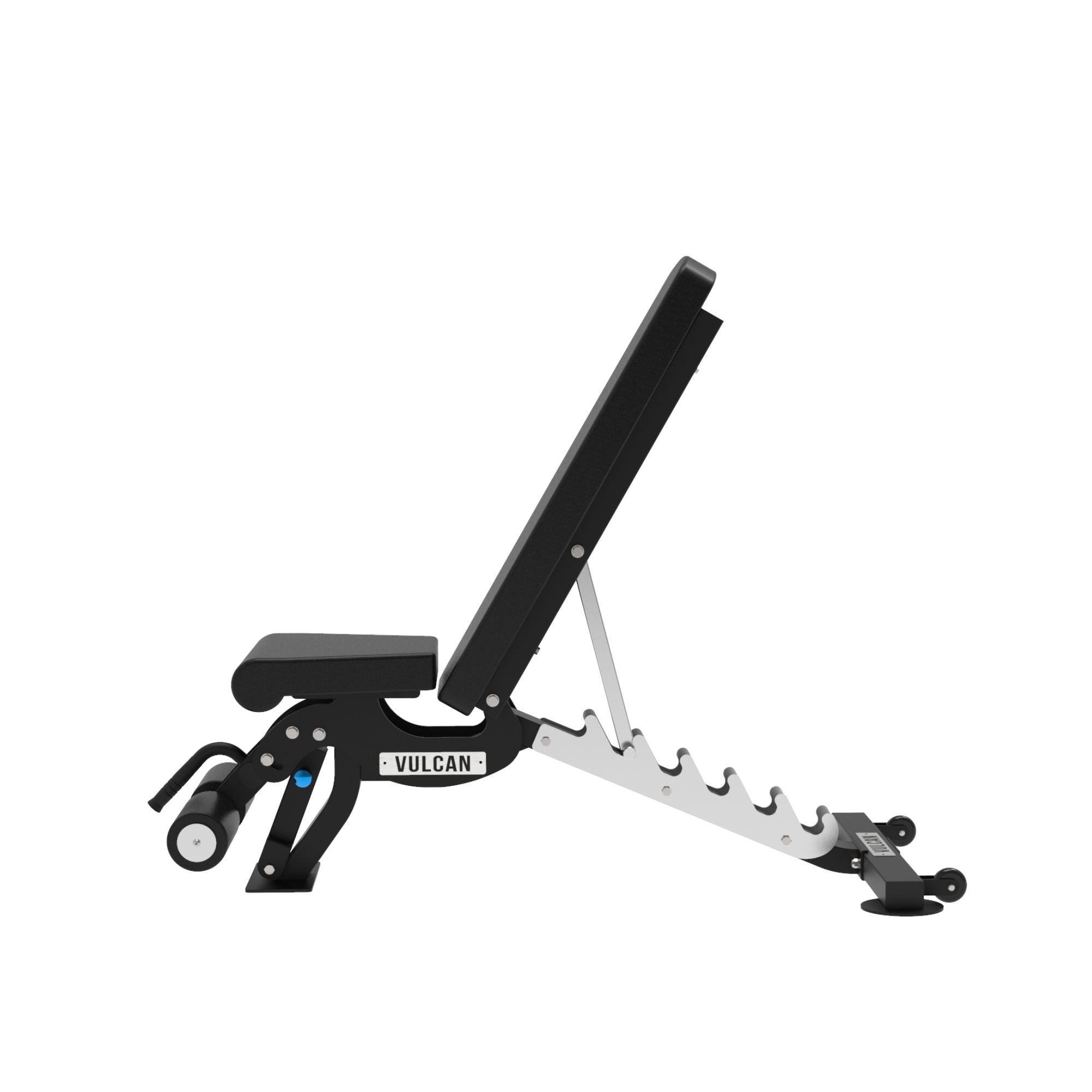 adjustable bench for training